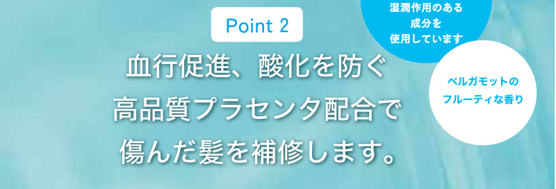 血行促進、酸化を防ぐ 高品質プラセンタ配合で 傷んだ髪を補修します。