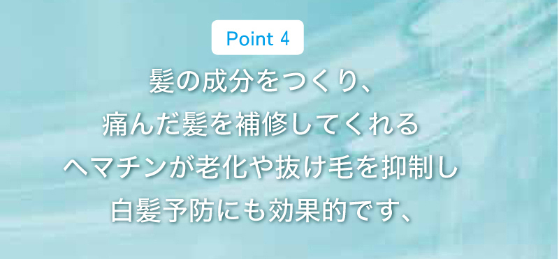 髪の成分をつくり、 痛んだ髪を補修してくれる ヘマチンが老化や抜け毛を抑制し 白髪予防にも効果的です、