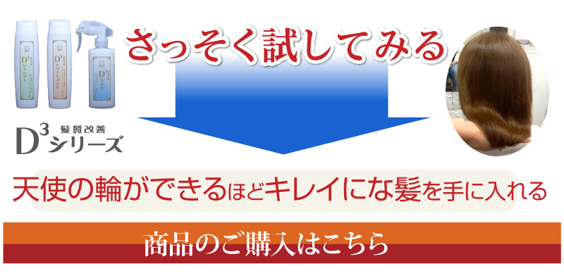 さっそく試してみる。天使の輪ができるほどキレイにな髪を手に入れる