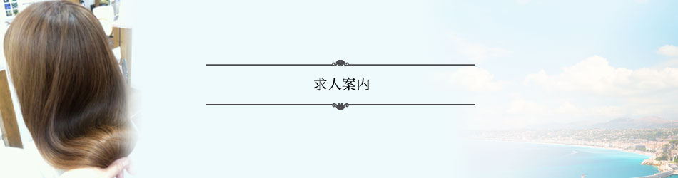 <h1>求人案内</h1>