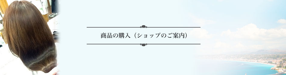 <h1>商品の購入</h1>